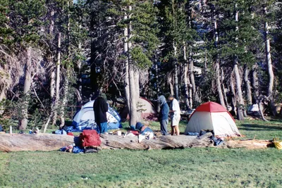 img149 (Large).jpg